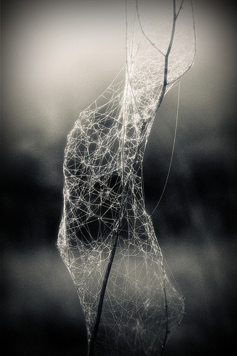 Around the web with Danny Brown