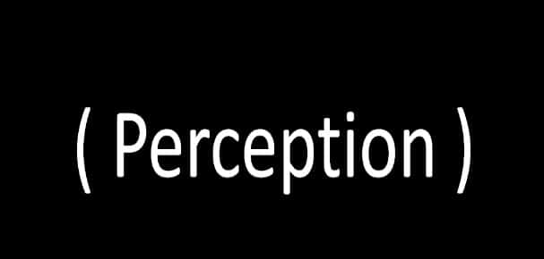 Perception