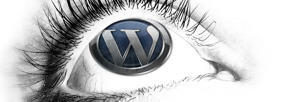 WordPress training videos
